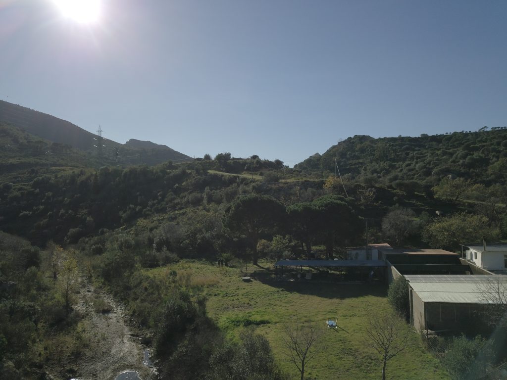 DCIM100MEDIADJI_0003.JPG